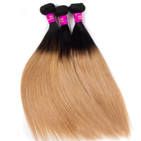 brazilian_ombre_hair_1b27_ombre_blonde_straight_human_hair_2_1