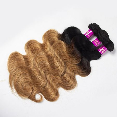 1B/27 Ombre Body Wave Human Hair Bundles Brazilian Hair